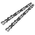 Kelford Cams 225-C Camshaft (Toyota 1FZ-FE)