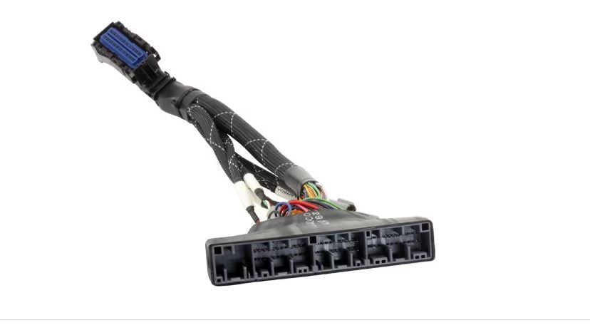AEM Infinity-6/8h Plug & Play Jumper Harness
