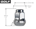 GOLF CART Small Hex Lug Nuts - Chrome