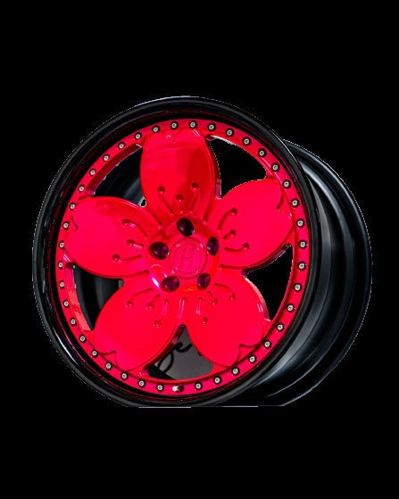 SAKURA-C