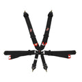 7620 Endurance 3 PD FIA Harness (2028)