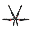 7622 Endurance 3+2 PU FIA Harness (2028)