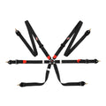 7624 Endurance 2 FIA Outlet Harness (2027)