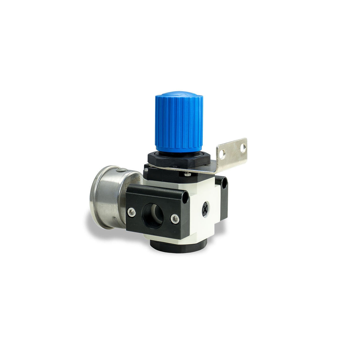 1/2" High Flow Pressure Regulator Kit