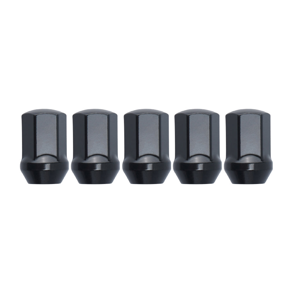 Lug Nuts Black w/ Lock Key