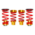 Honda Civic FD (2006-2011) Adjustable Lowering Spring Kit