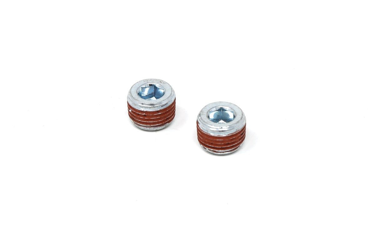 1/8" NPT Bung Plugs (2 Pack)