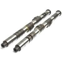 Kelford Cams 176-R1 Camshaft (Honda B16A/B18C VTEC)