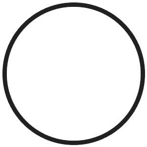 Replacement N54/N55 Charge Pipe O-Ring/Gasket (E and F chassis)