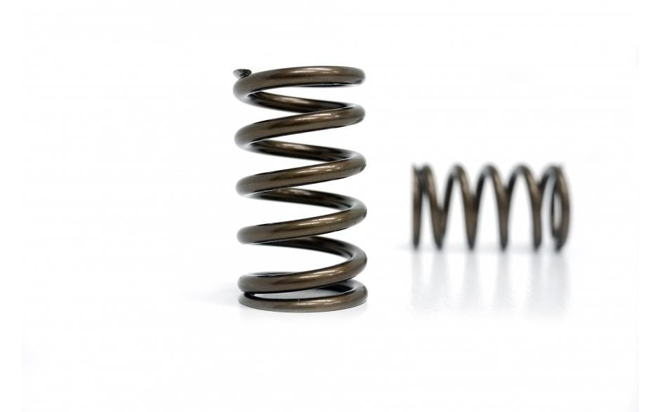Kelford Cams Pacaloy Valve Spring Set | Toyota 1JZ Engines (KVS109-1JZ)