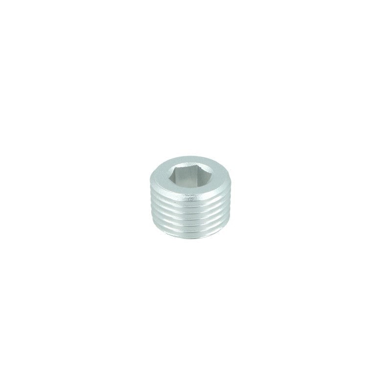 NPT Plug