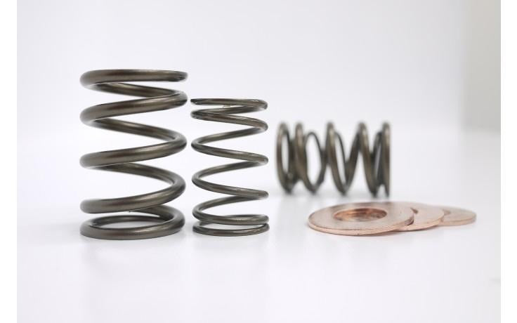 Kelford Cams Dual Valve Spring Set | Multiple Honda Fitments (KVS13D)