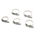 T-Bolt Stainless Steel Hose Clamp With Spring