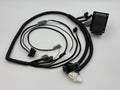 K20C1 Engine Swap Conversion Harness - Plug and Play